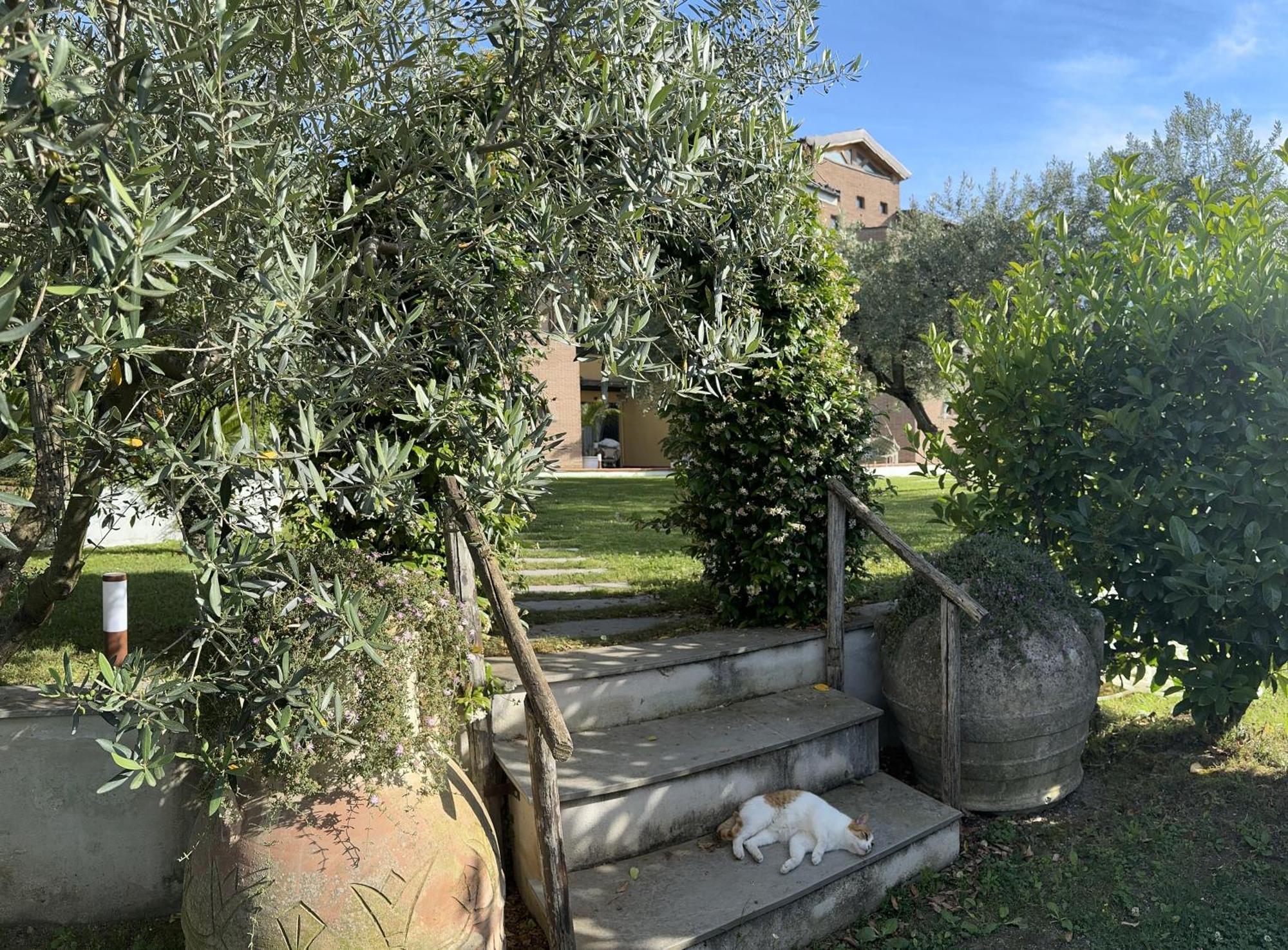 Villa C Luxury Estate SantʼAntonio Abate Extérieur photo